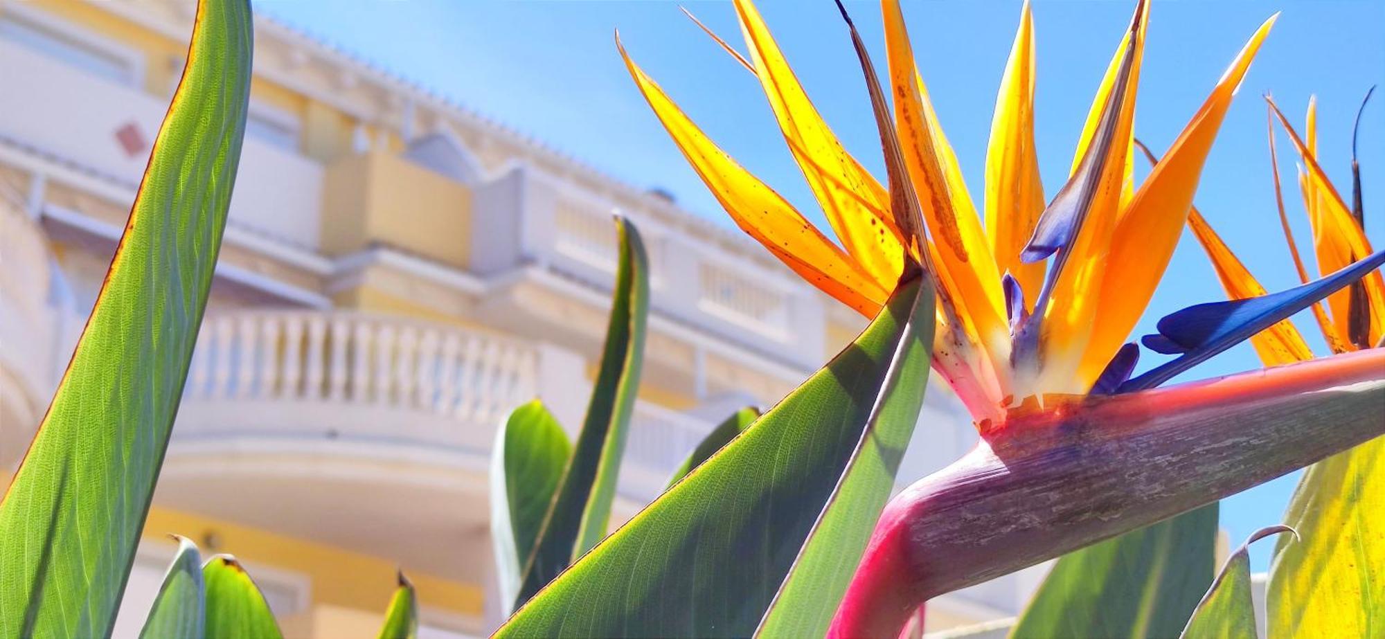 Apartamento Playa Sol By Denia Costa Eksteriør bilde